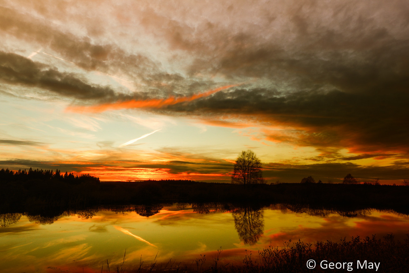 Abend am Brackvenn, Belgien