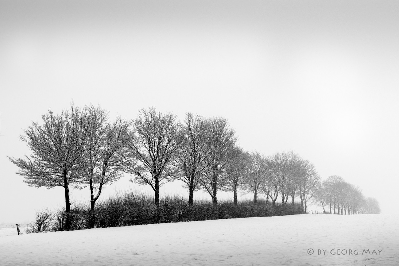 Winter auf den Eifelhöhen