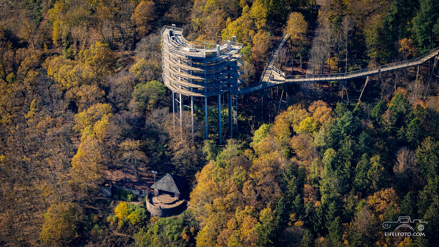 Der Aussichtsturm des Baumwipfelpfads und der Aussichtspunkt Cloef