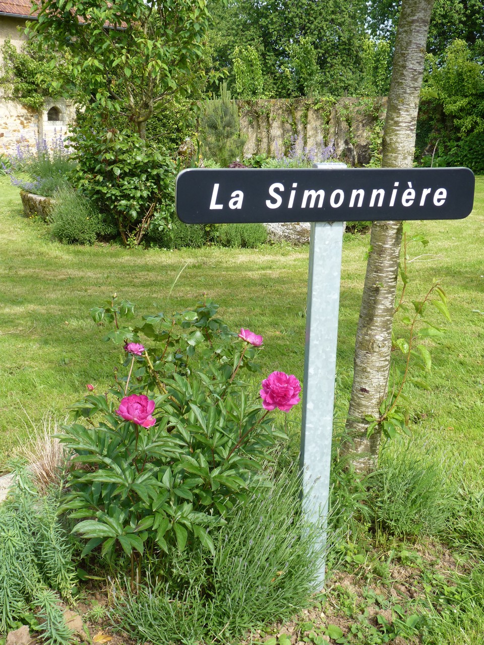 lieu dit la simonniere