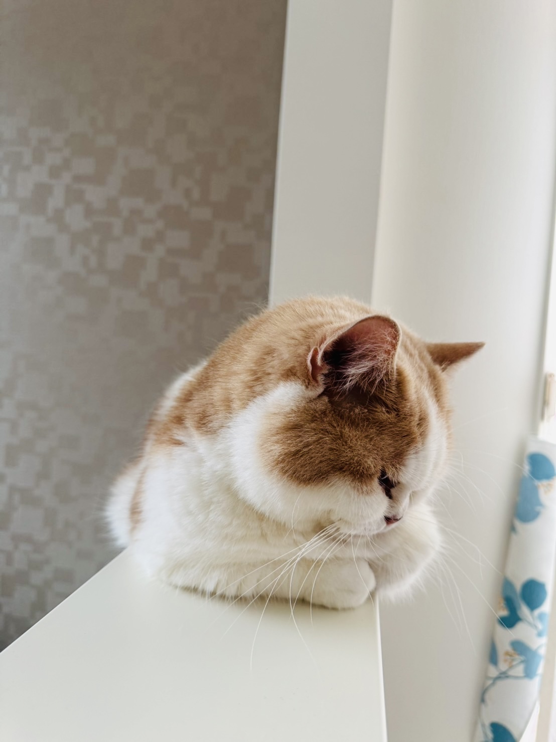 クリングス取付け加工
