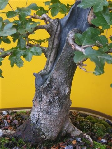 lego plants bonsai LEGO - 10348