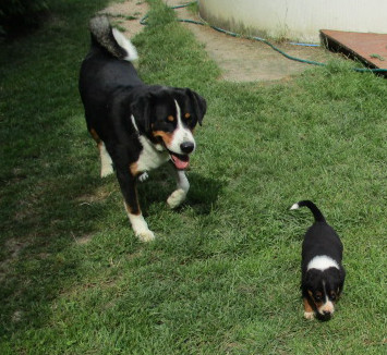 Caio mit Opa Flynn