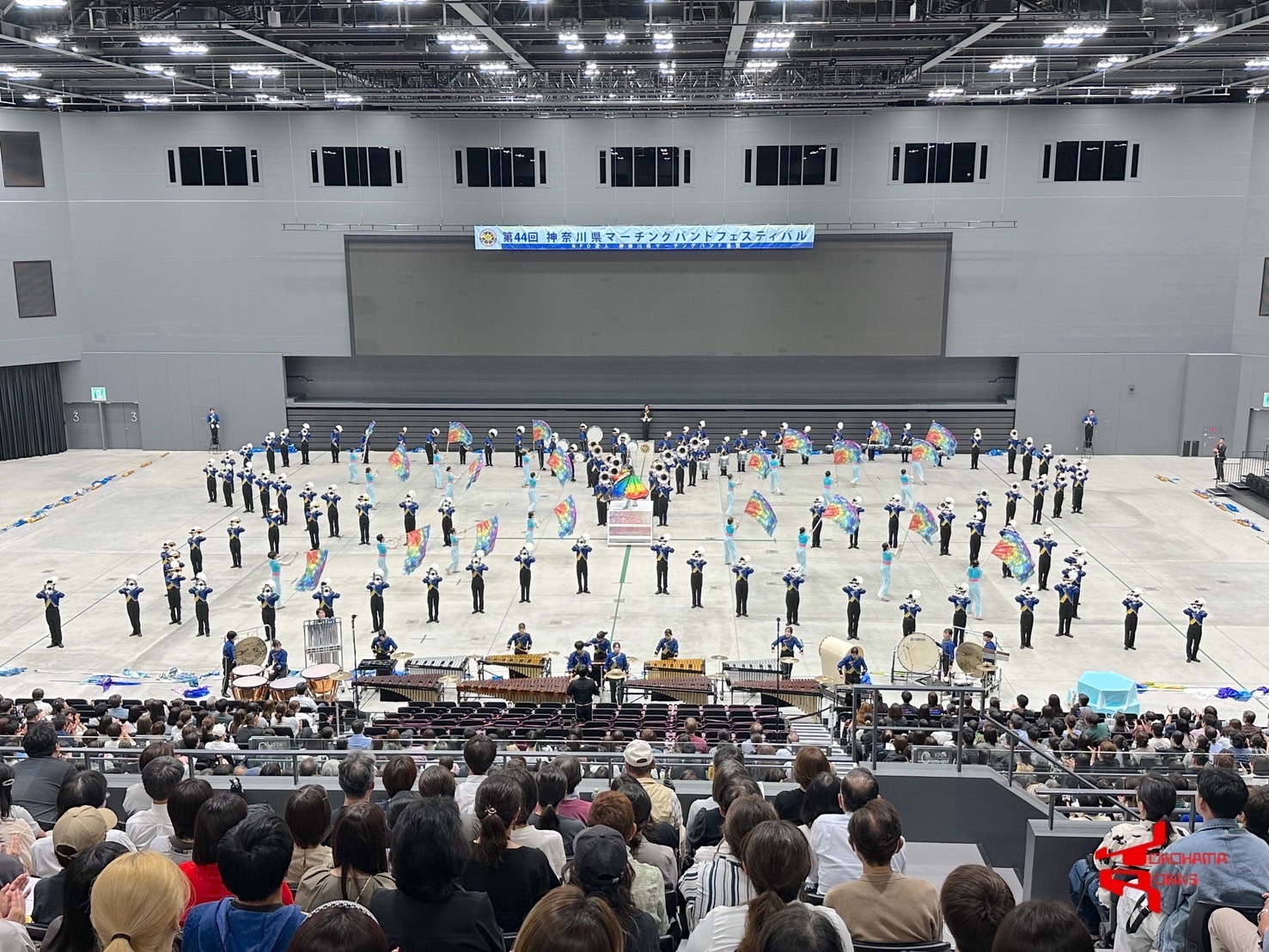 YOKOHAMA ROBINS - YOKOHAMA ROBINS OFFICIAL HOMEPAGE