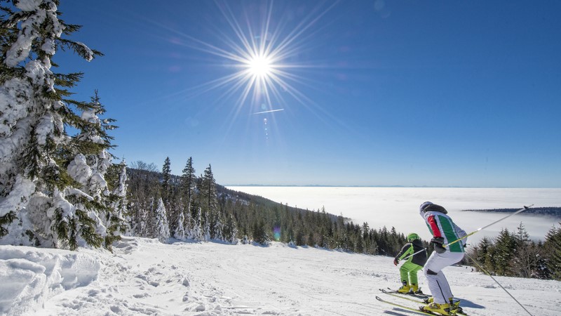 Erwachsener und Kind beim Skilaufen abwärts mit Nebelmeer im Hintergrund