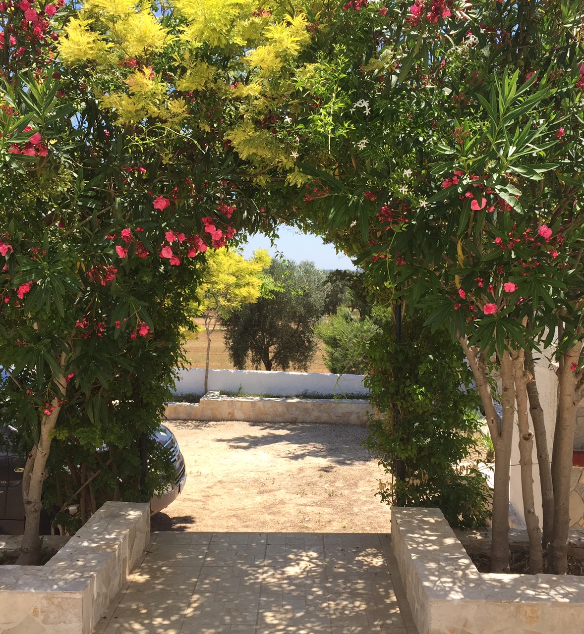 Lecce 6 - Terrasse et vue sur le jardin
