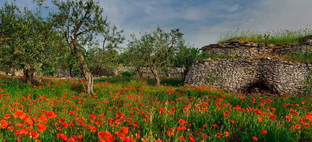 TREKKING ROUTES IN PUGLIA