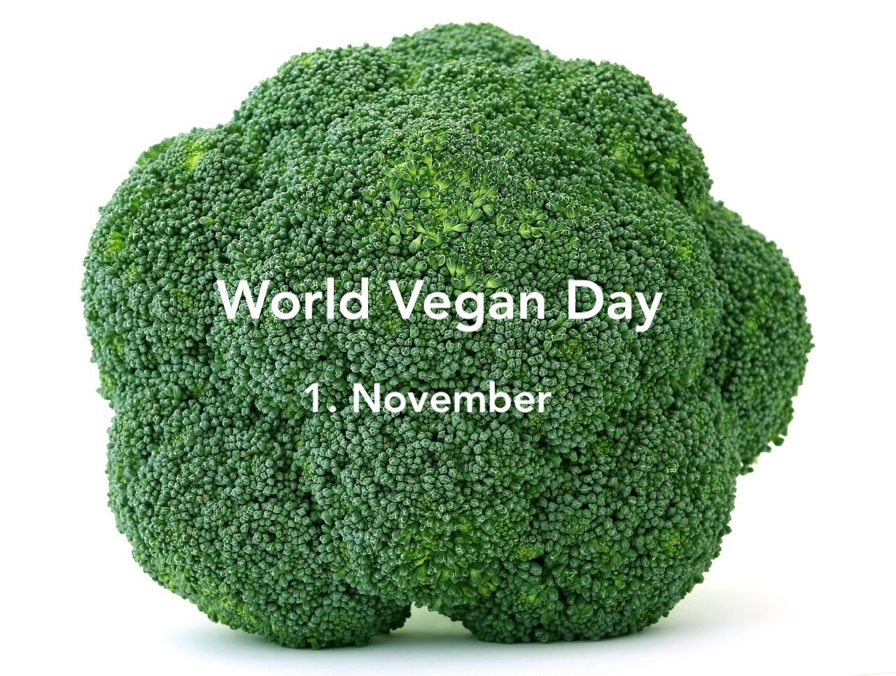 World Vegan Day