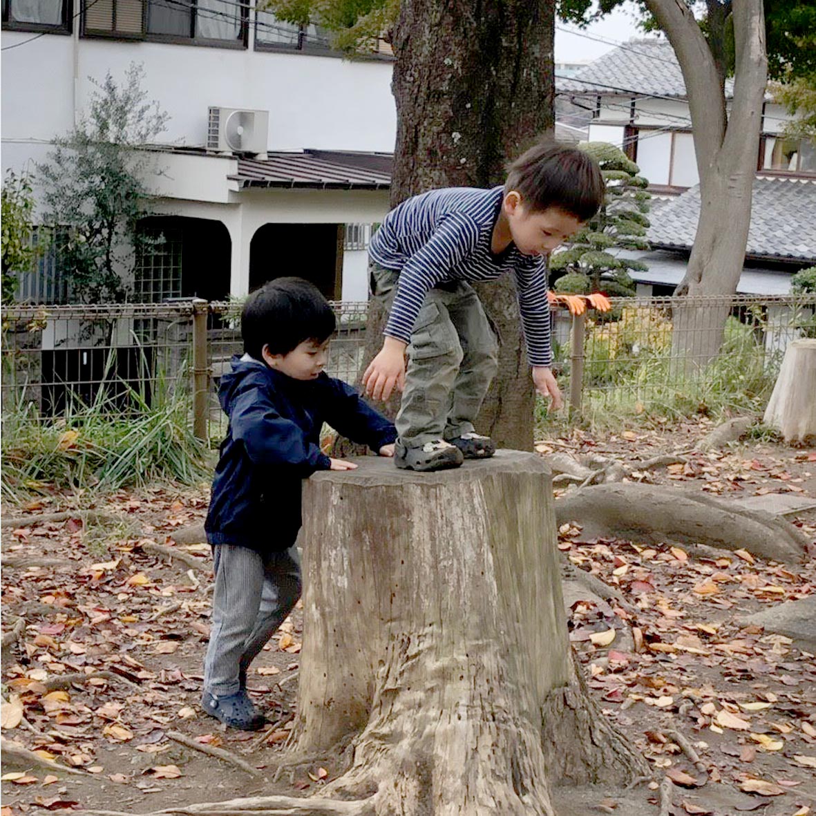 そとあそびこどもクラブのびる - 子育て支えあいネットワーク満 高津区