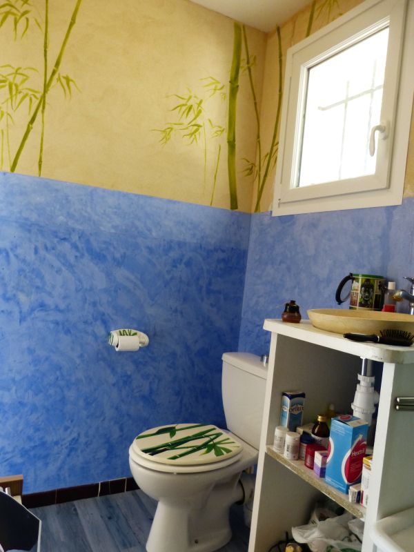 Salle de bains - Stuc chaux bleu outremer sur carrelage et enduit mince chaux taloché