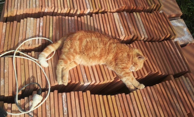 Assistant indispensable au panachage des carreaux terre cuite