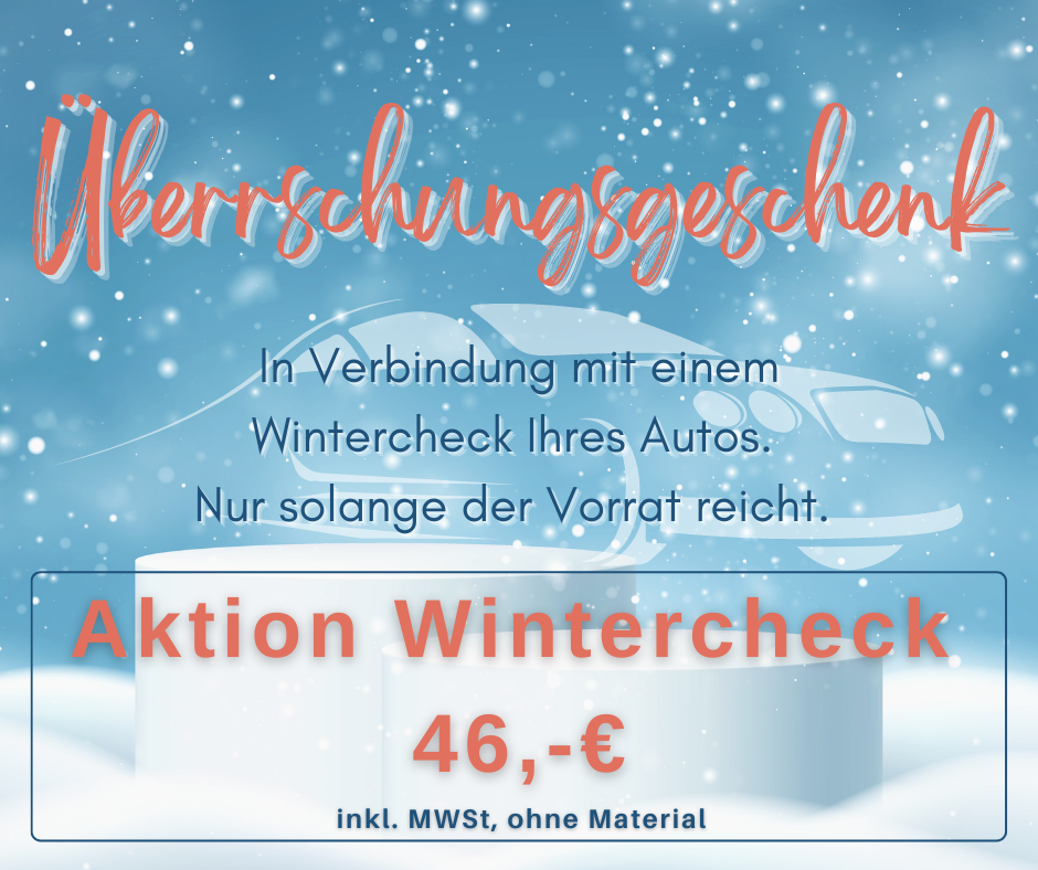 Aktion: Auto-Wintercheck