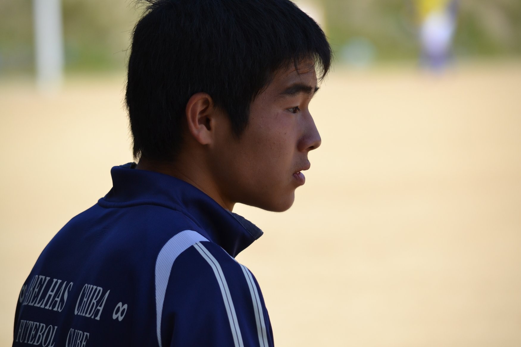 15年度アルバム Abelhas Chiba Fc 15年度アルバム Abelhas Chiba Fc