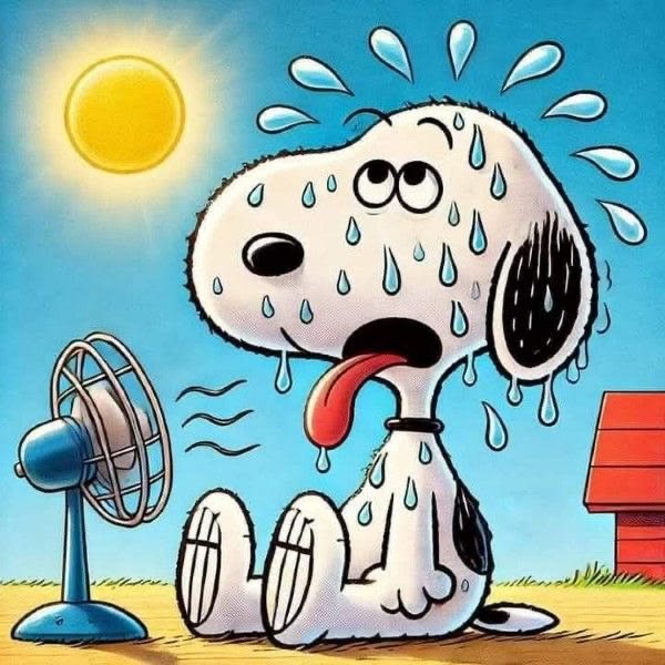 "It's boiling!"ってどういう意味？☆草津市からも近い！大津市瀬田駅前の子どもと大人の英会話教室