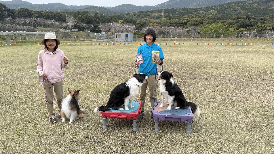 DOGCAMPGAMES41レトリーブ