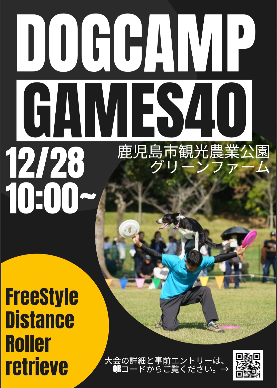 DOGCAMPGAMES40