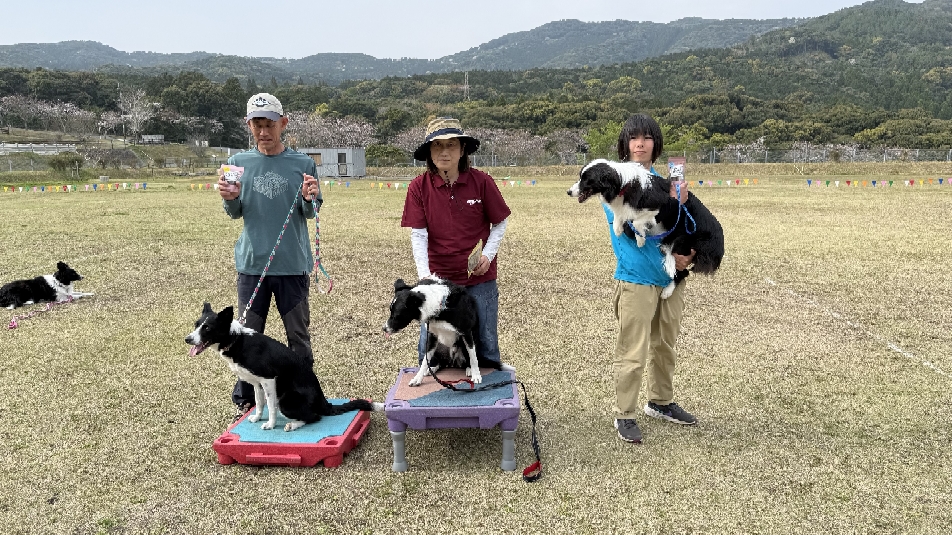DOGCAMPGAMES41ディスタンス