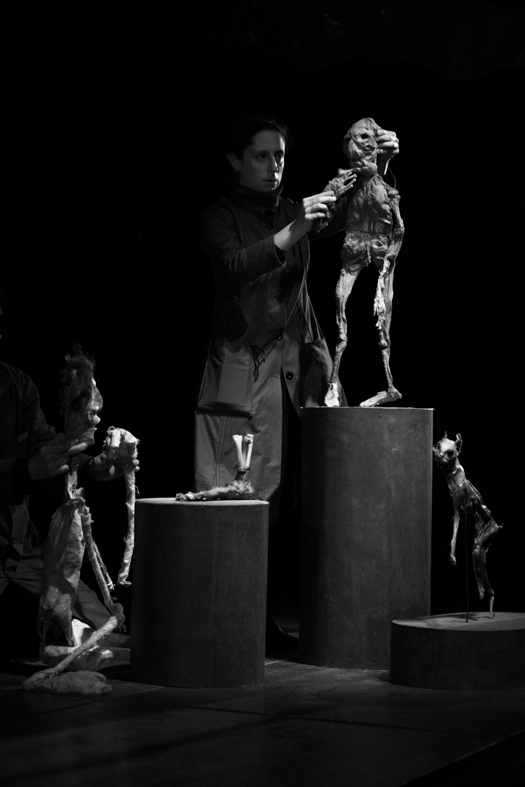crédit photo Damien Bossis