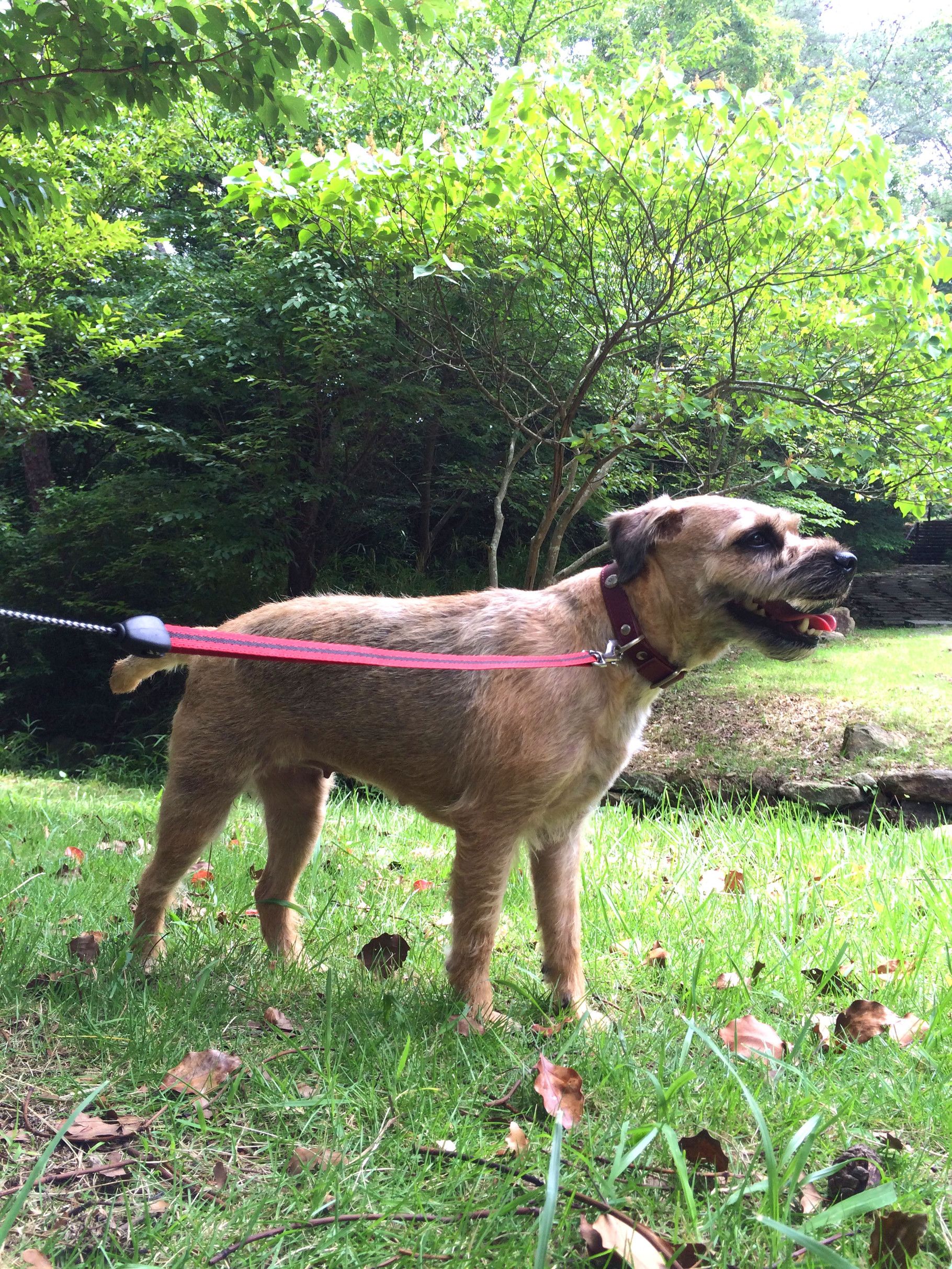 サマーカット olivecafe