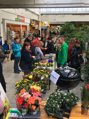 Herbstfest PflanzenKölle Förderverein der AnneFrankGrundschule