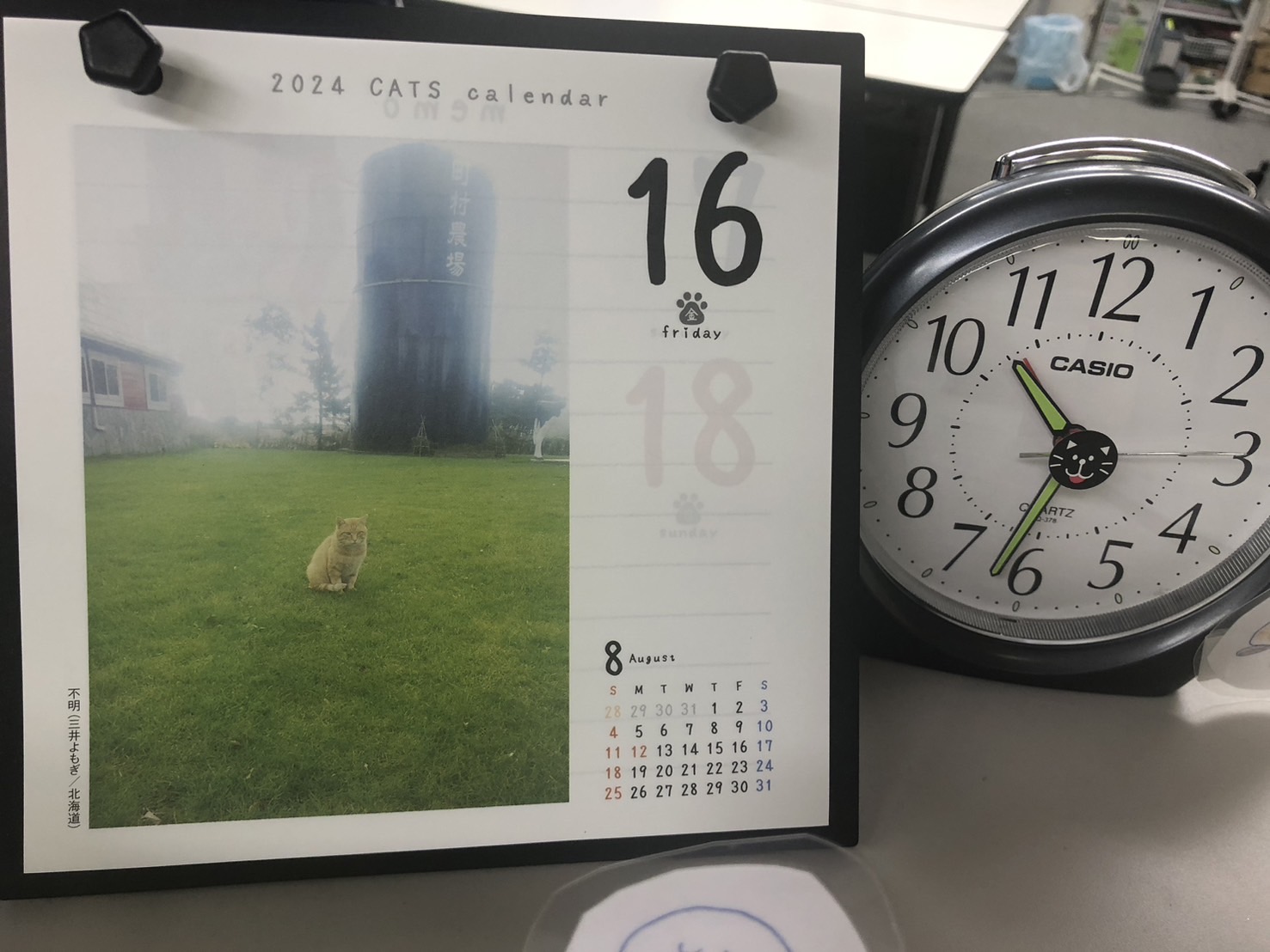 今日は誰も来ない