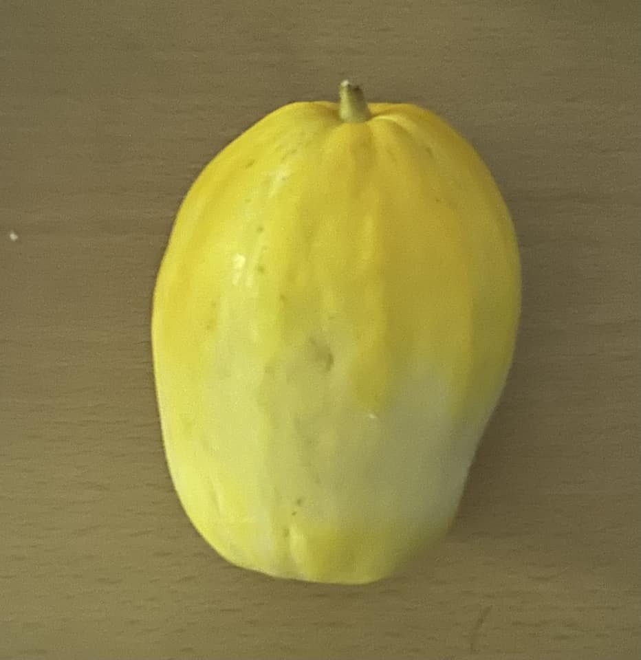 10月第2週の日替わりランチ