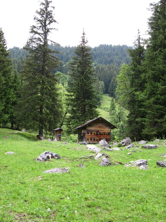 Bienenhaus im Broch