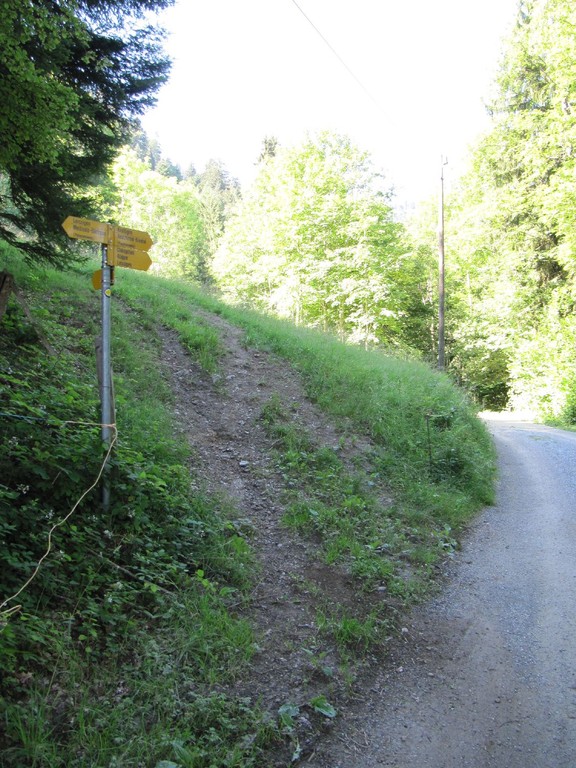 "Eingang" zur Cholgruebe/Stoffelberg