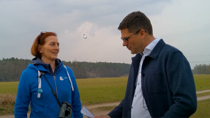 Im Interview mit Frau Oda Wieding vom Landesbund für Vogelschutz (LBV) zur Juraleitung und Störchen im Rednitztal