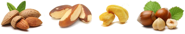 Fruits à coque pour perroquets