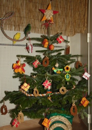 Une Décoration Sécuritaire Perruches Et Perroquets