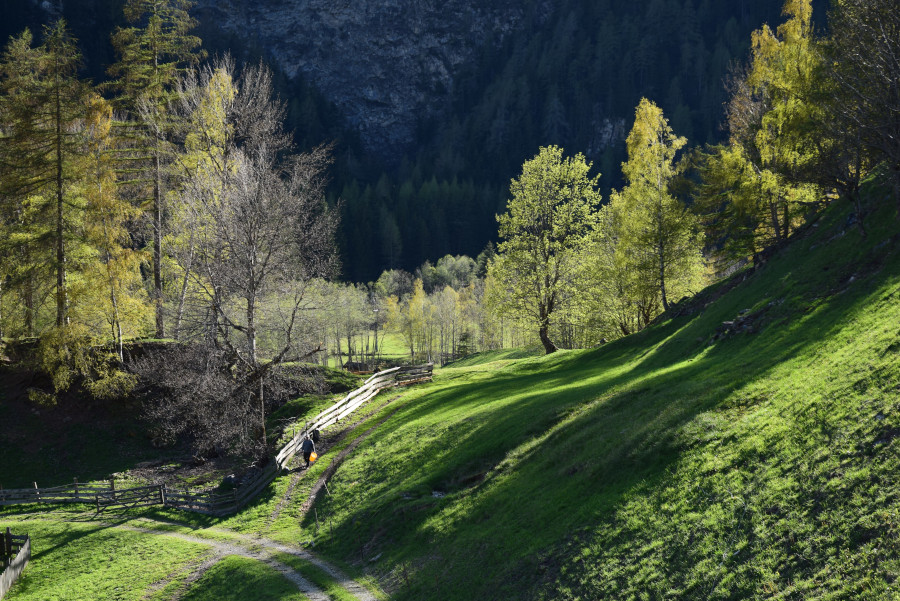 Frühling mit Corona Sturm Archehof Tief in der Wildnis, da fühl ich mich wohl“ | Nachrichten.at