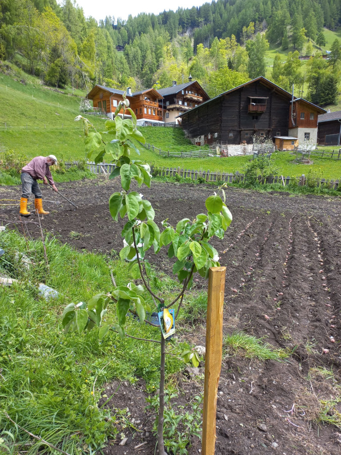 Säen und Ernten