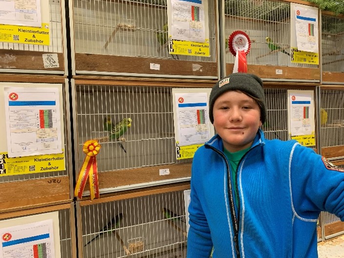 Rico Bieri mit seinen grünen Farbwellensittichen wurde Berner Meister.