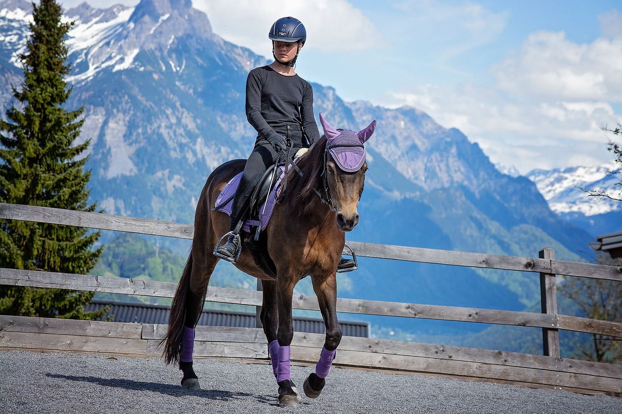 Copy Newsletter 9/24/2024  - What is good riding?