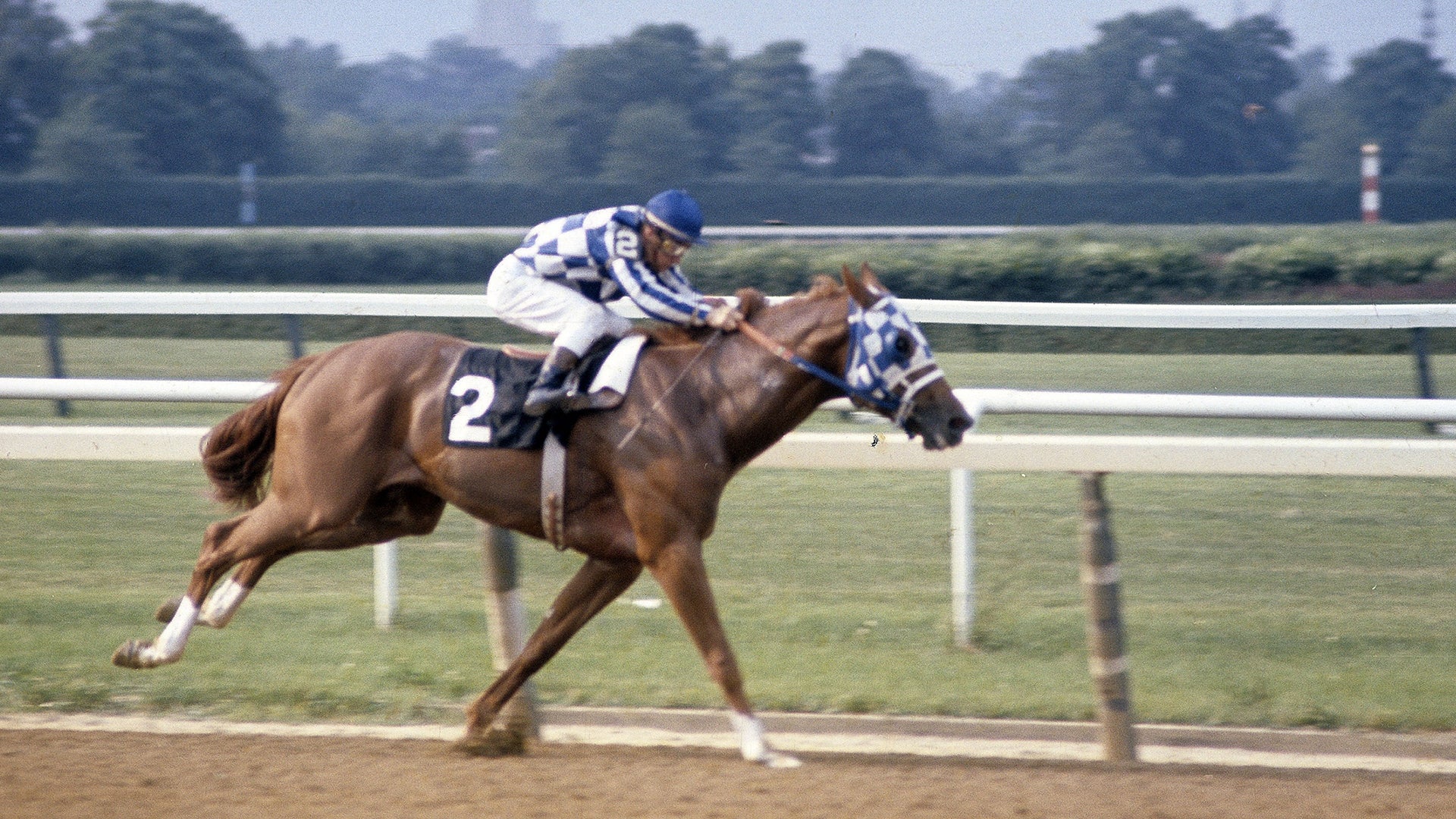 Secretariat: Racing Beyond Legend