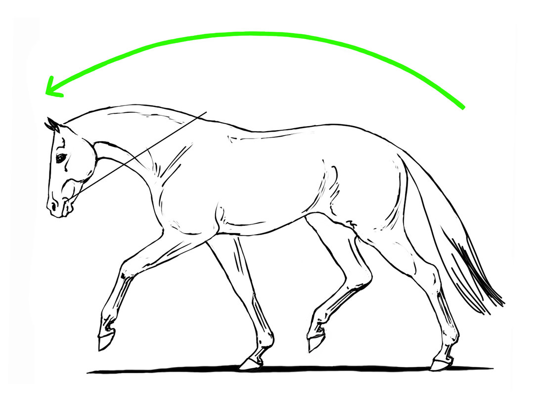 Faulty Influence: The Reins