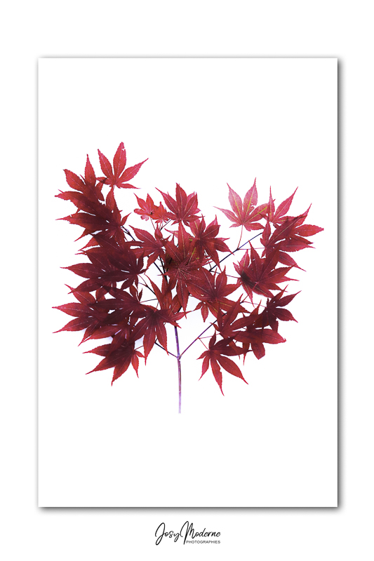 A9