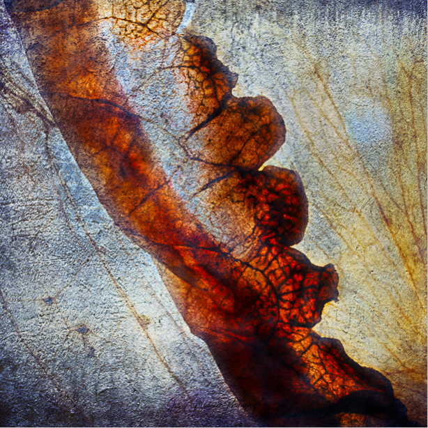 A13