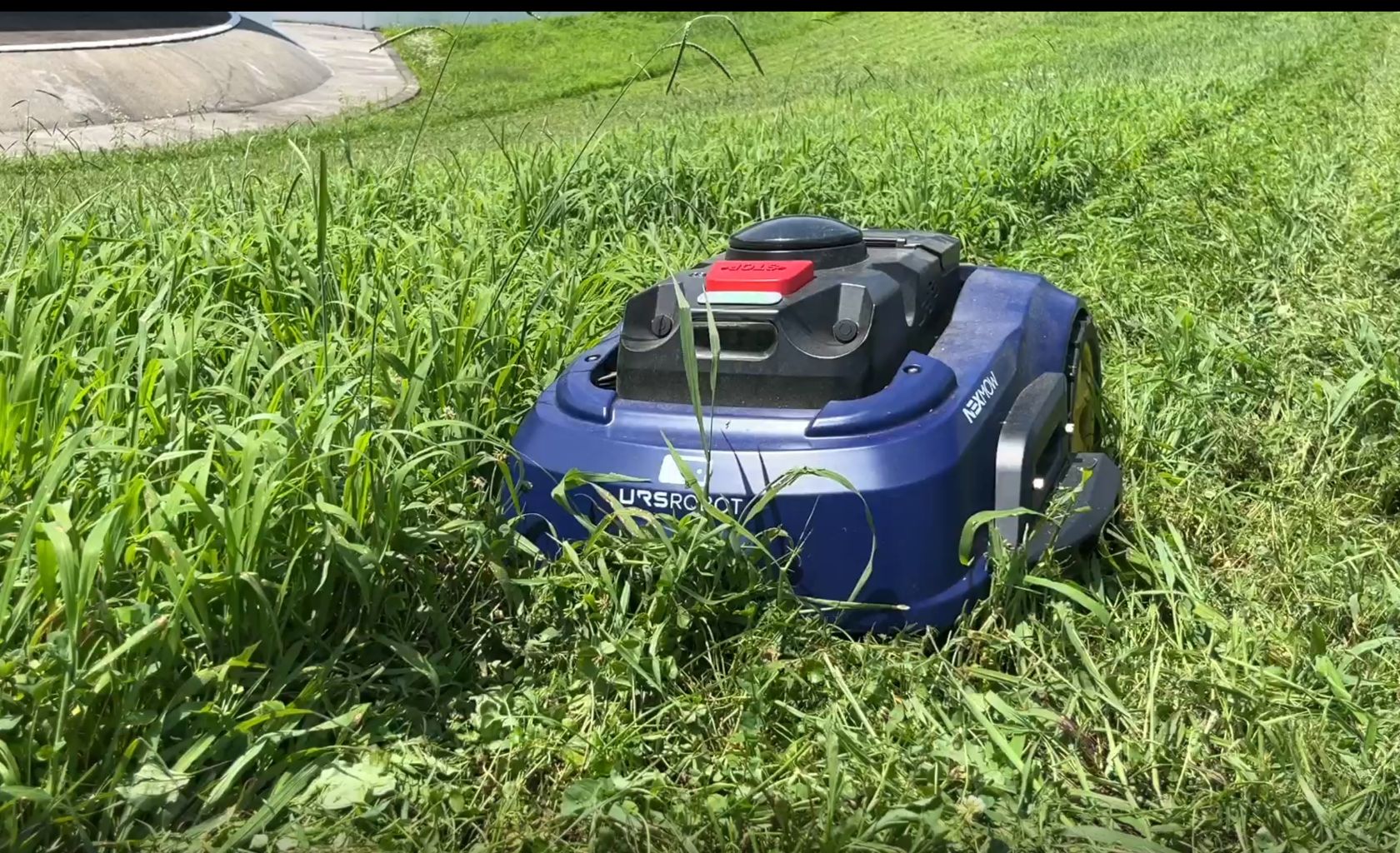 長期間放置され雑草が伸びた場所も、エムワンエスは力強く刈込みます。