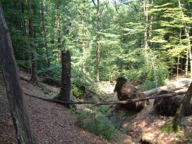 Bergische Impressionen