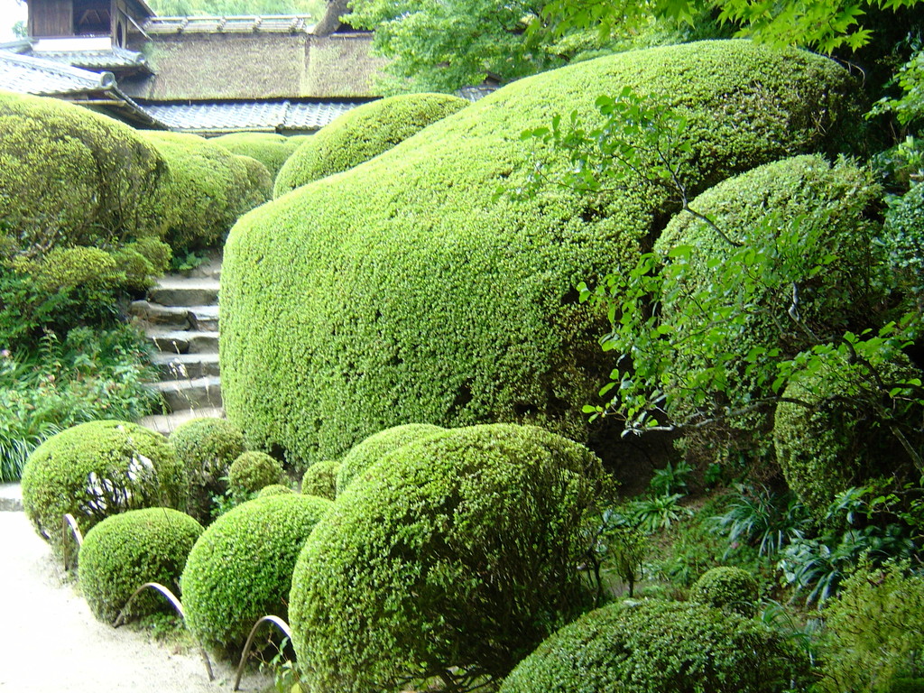 Japanische Gärten, Eberhard Gartenbau AG Kloten