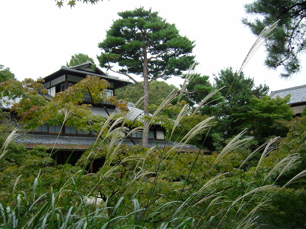 Japanische Gärten, Eberhard Gartenbau AG Kloten