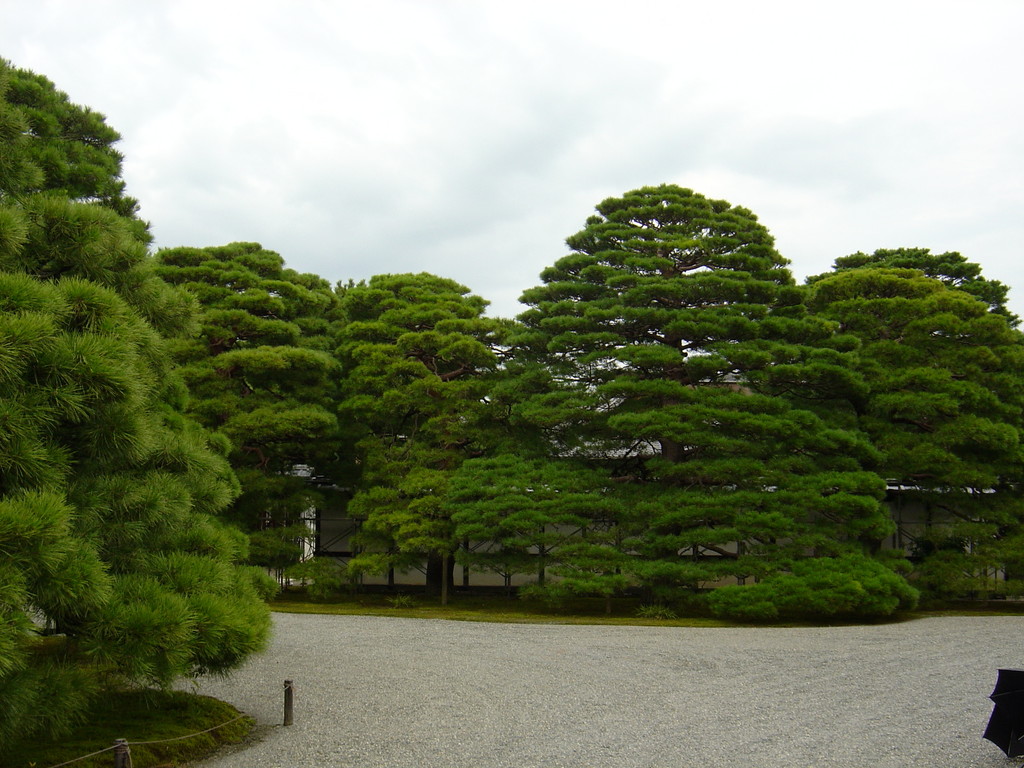 Japanische Gärten, Eberhard Gartenbau AG Kloten