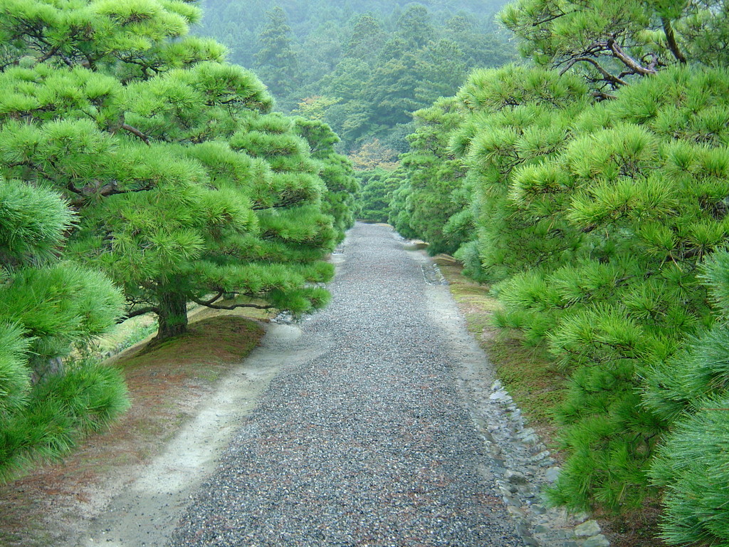 Japanische Gärten, Eberhard Gartenbau AG Kloten