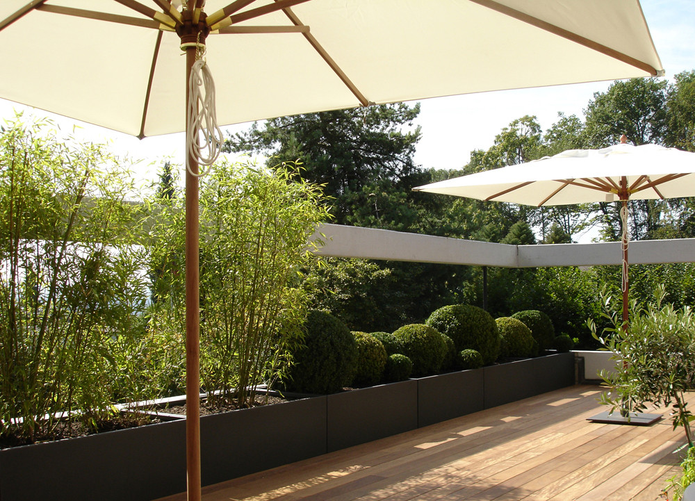 Eberhard_Gartenbau_Kloten, Holzdecks, Trogbepflanzung