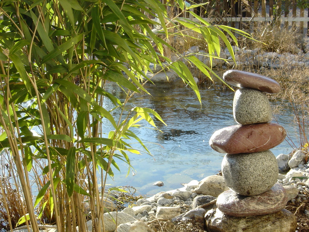 Eberhard_Gartenbau_Kloten, Biotope, Steine, Bambus