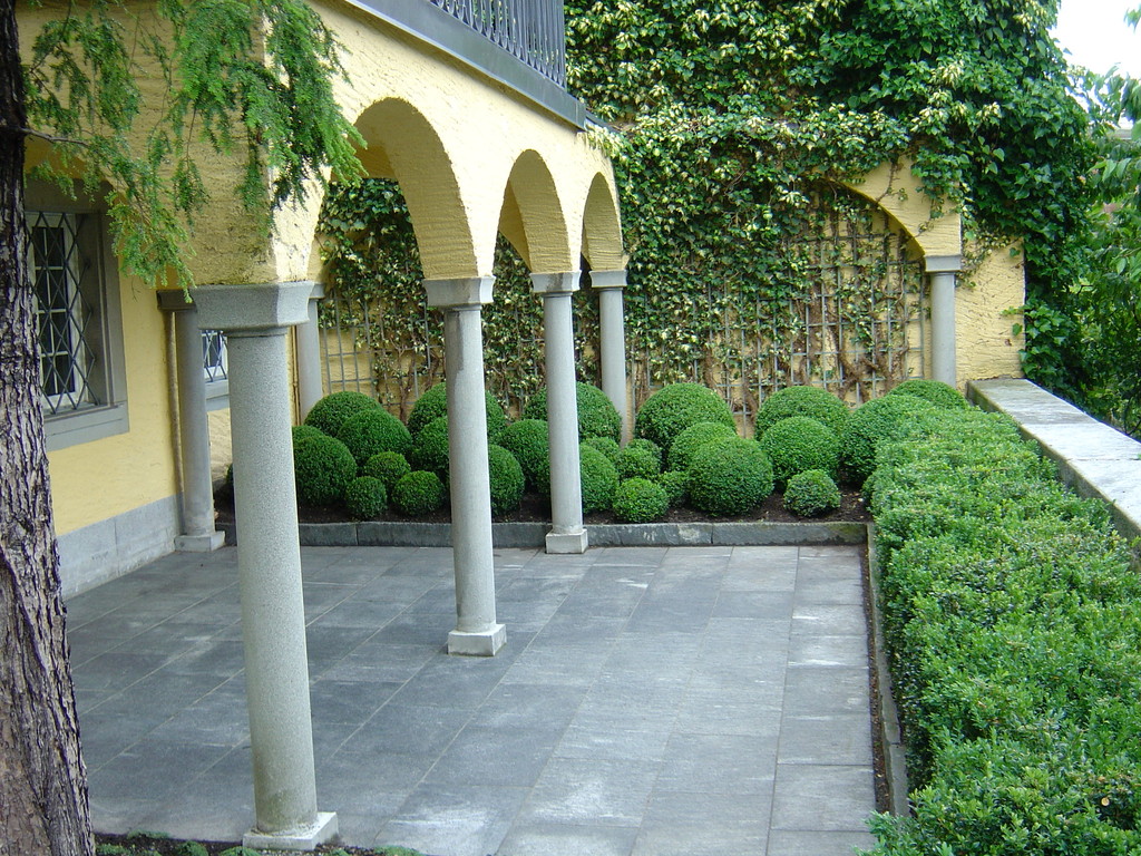Gartengestaltung, Eberhard_Gartenbau_Kloten, Buxus, Granitplatten