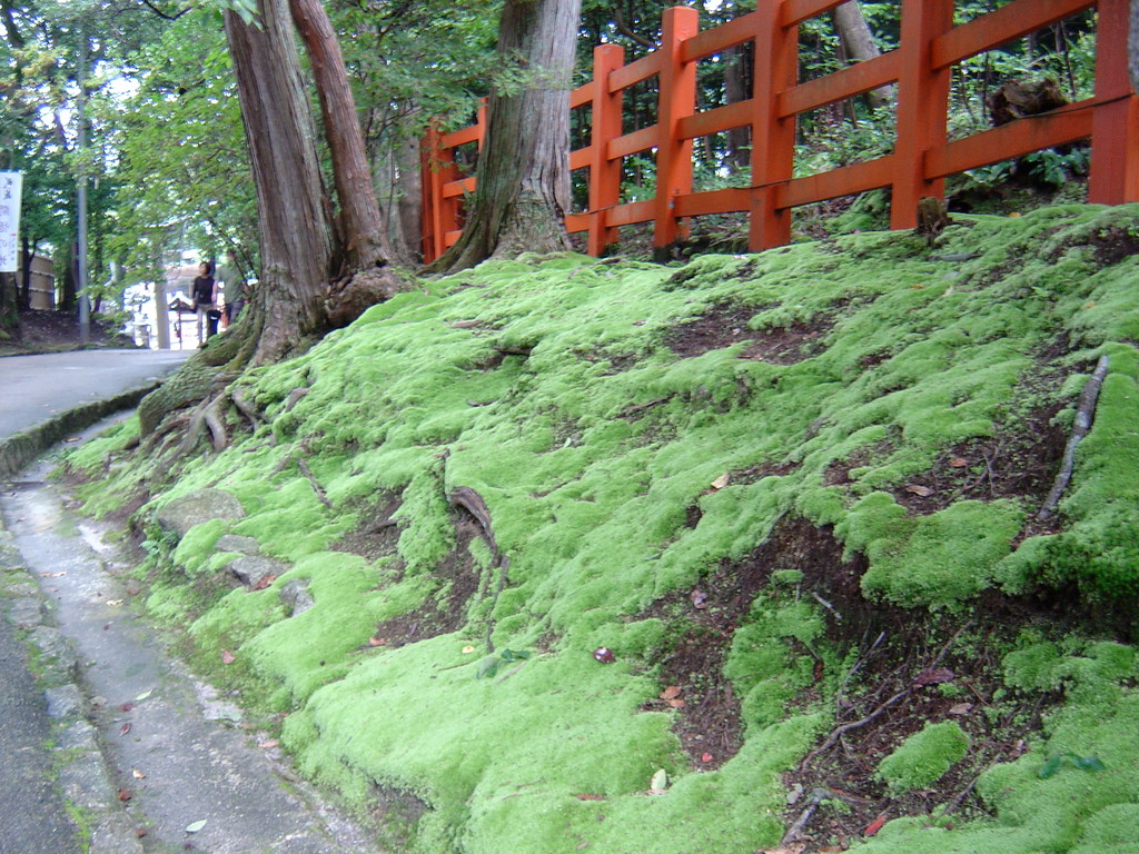 Japanische Gärten, Eberhard Gartenbau AG Kloten