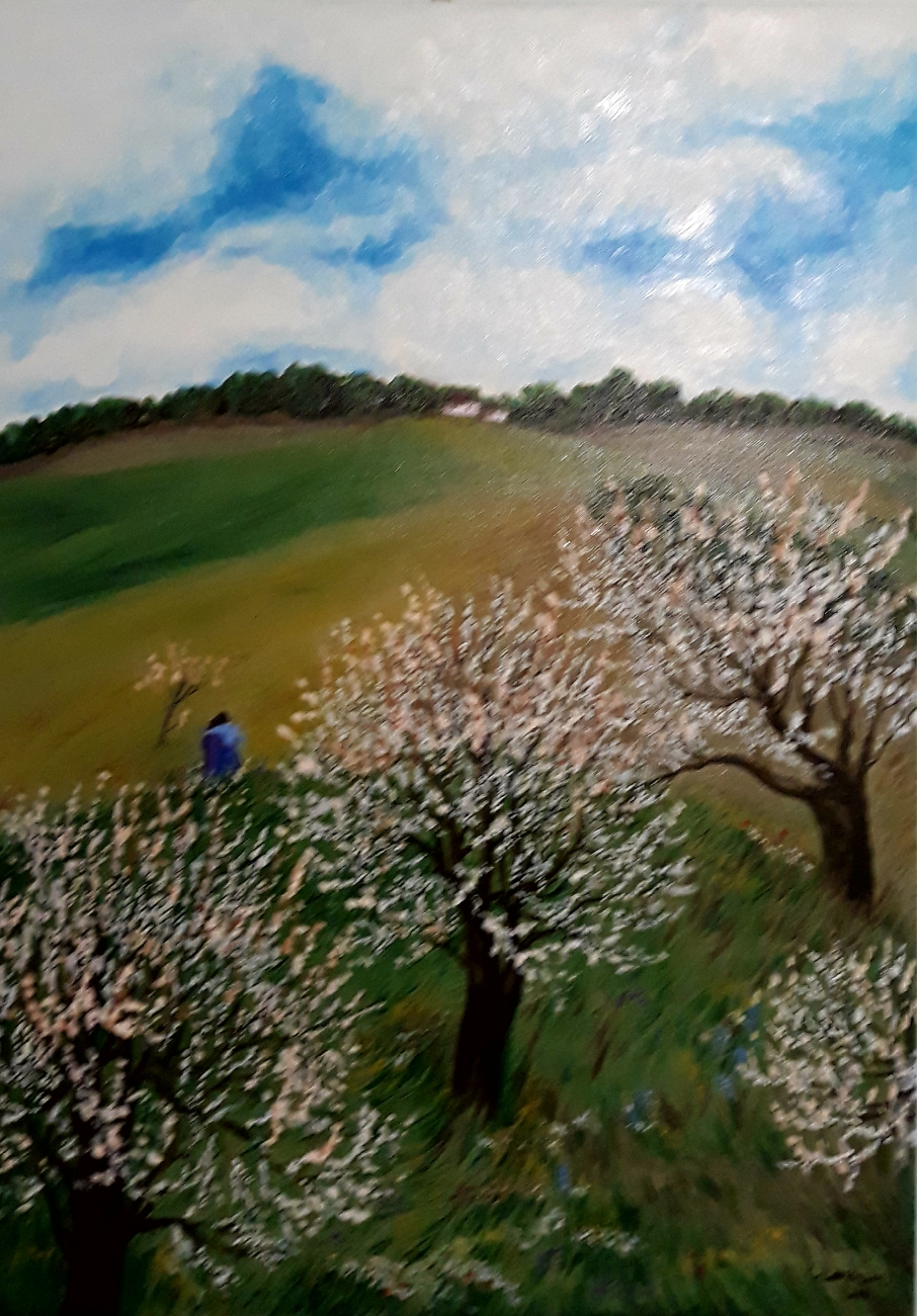 Paesaggio con mandorli in fiore.  Olio su tela. 50x 70 cm. Collezione privata.